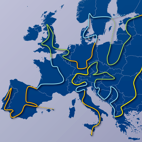 route